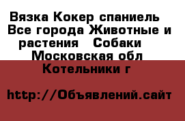 Вязка Кокер спаниель - Все города Животные и растения » Собаки   . Московская обл.,Котельники г.